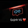 .quynhvu