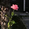 dungbuonnuaemoi