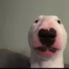 manicmikail