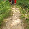 hidayah_202