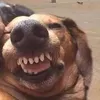 rrrrrrr_016