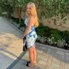 dana.rsn
