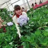 ngocanh19956
