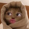 mgurss
