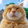 nanut_010839