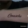 gia_nghia_gnasche
