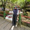 linnanrly_