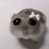 imeggnog