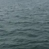 mrspotatoe.123