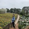 www.tiktok.comhanh_heo_