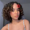 Thairy Segura