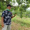 Mas Teguh