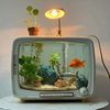 rooo.fishhhh