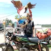 djarodbk2c011