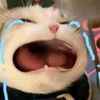 mingmingg_g