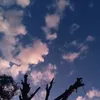 ._.userjn22