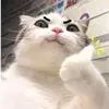 nguxj