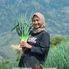 PETANI HAPPY