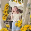 ailada_beam