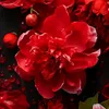 thuhang77991