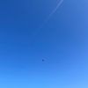 skyblue_273