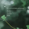 broken_angelb
