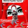 mehmet..ayyildizhayrani