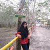 lelianggraini7
