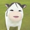 duckunicorn