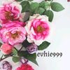 vhynnie999