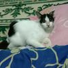 sellymonic5