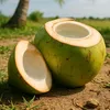coconut1711