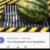 kacperjarzembowski16