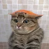 _lb.y_