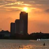 giadinhnhinho12345