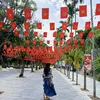woshizhuang16