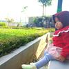 suciwulanwulan