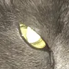 gggdgde