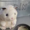 peachonlala127