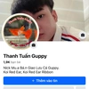 Thanh Tuấn Guppy