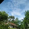 ristina98