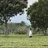 Hoàng Nhật✨✨