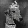 skrrr132