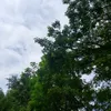 okk_oka