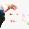 dx_flnz05