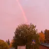 alma.vuo