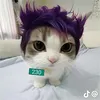 jumbabear