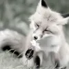 moondollxz