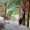 peterchen623