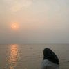 lisharst_